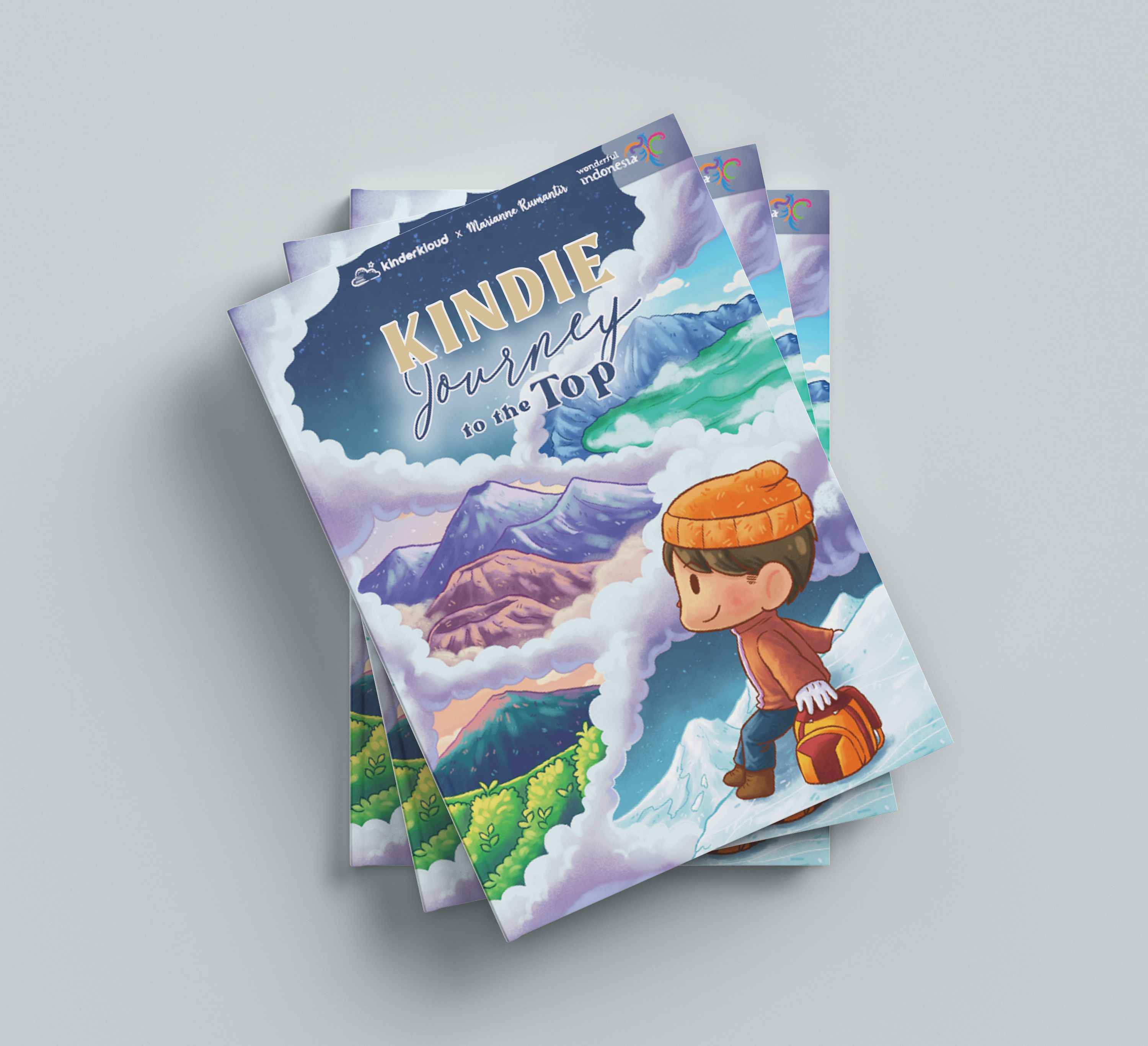photo of journey to the top book cover kinderkloud