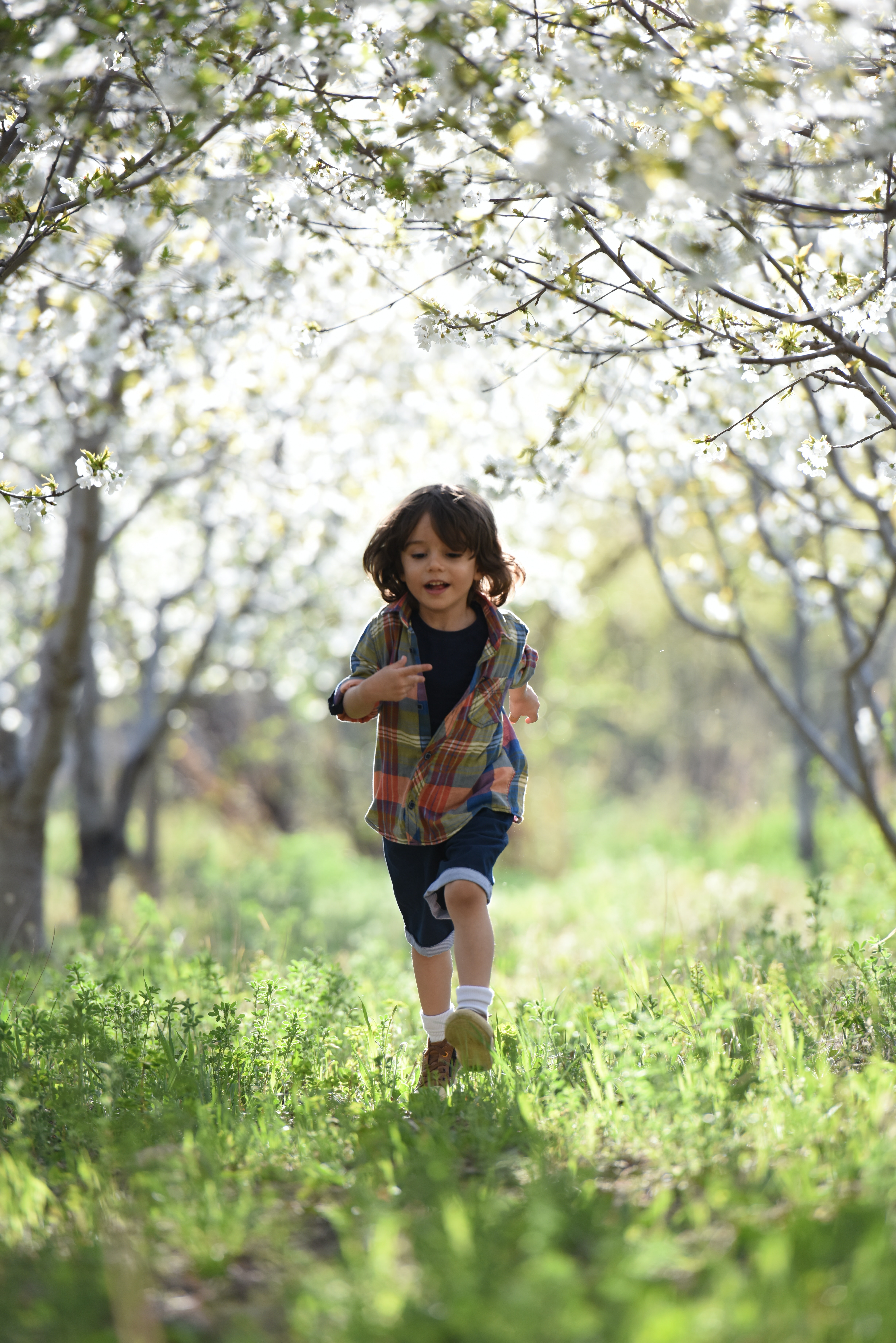 love, nature, children